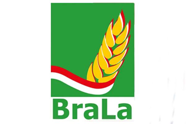 Logo Ausstellung BraLa