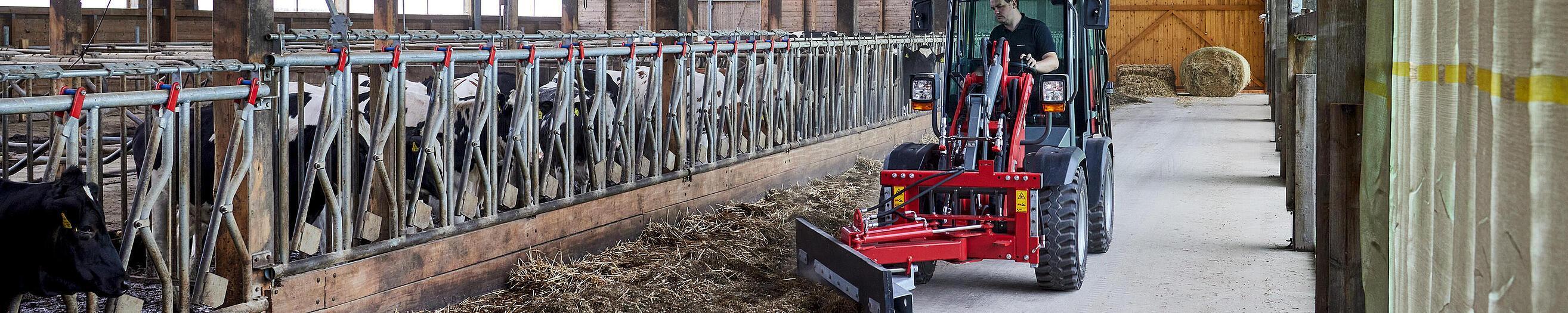 Weidemann Hoftrac 1260LP im Einsatz