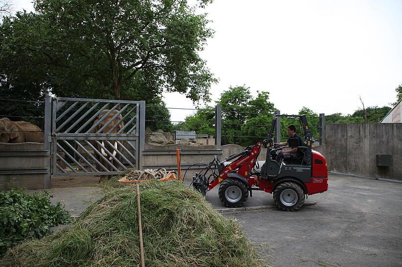 Weidemann 1160 eHoftrac im Einsatz