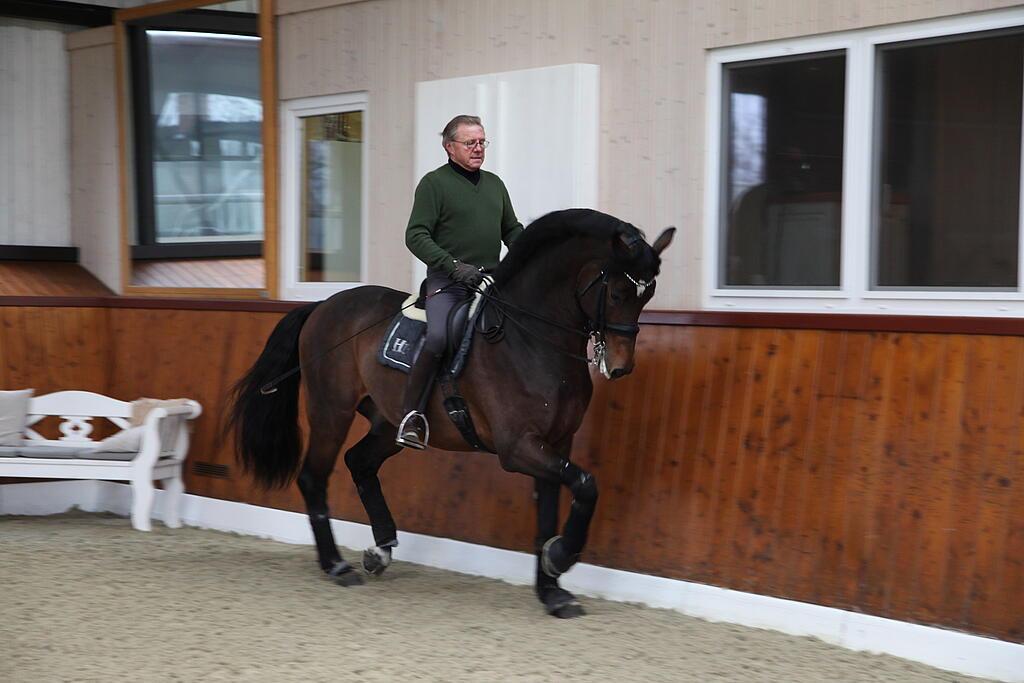 Schwiebert_229.JPG Reiter auf Pferd in Reithalle
