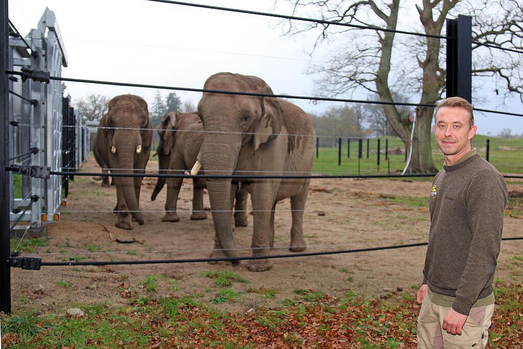 Ein Tierpfleger steht vor einem Elefantengehege