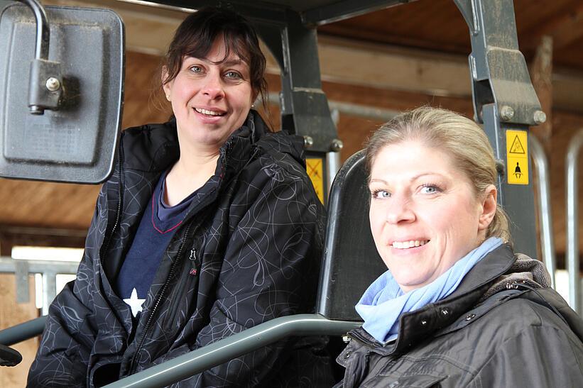 Haflinger Zuchtbetrieb Stange