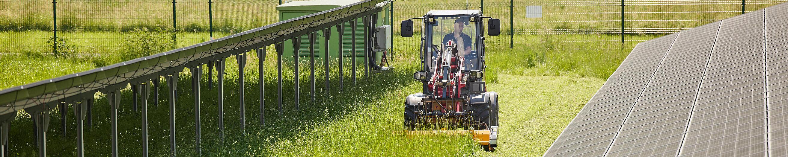 Weidemann Hoftrac 1390 Kabine im Einsatz mit Mulcher in einem Solarpark