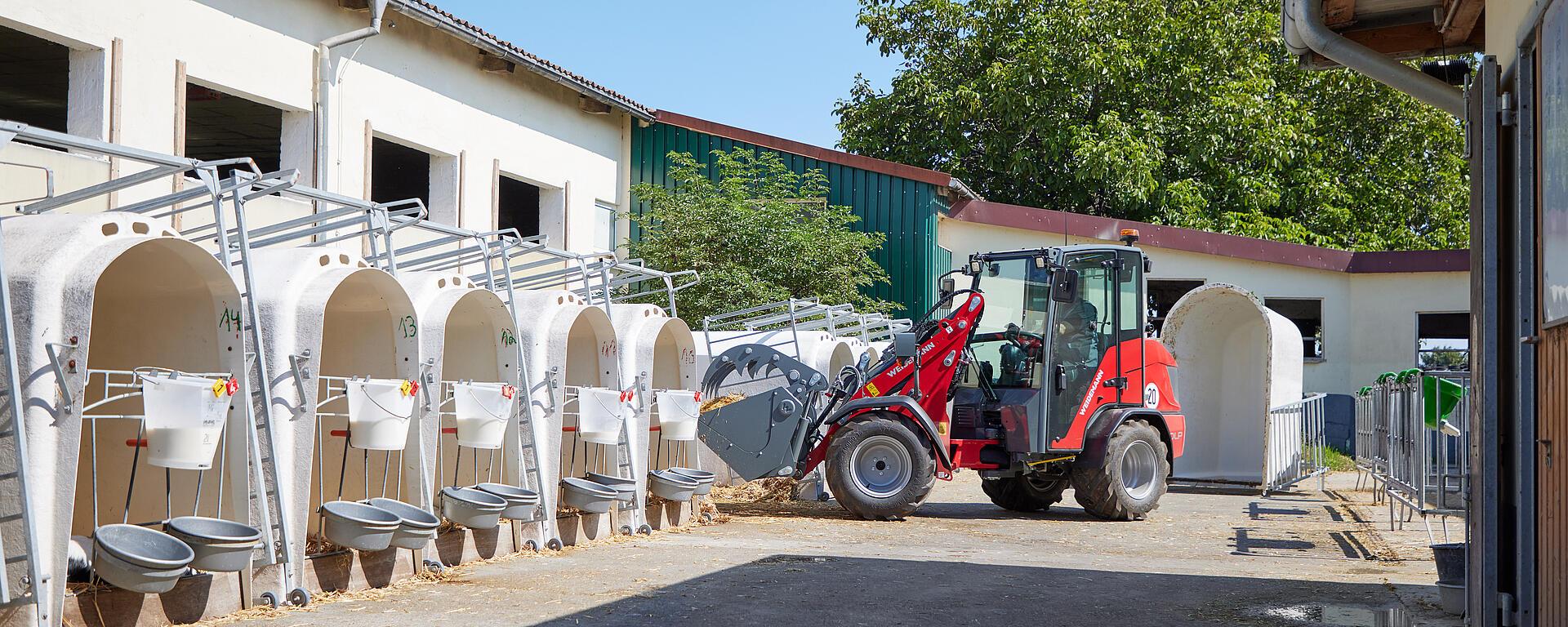 Weidemann Hoftrac/farm loader 1260LP cabin with power grab bucket in action