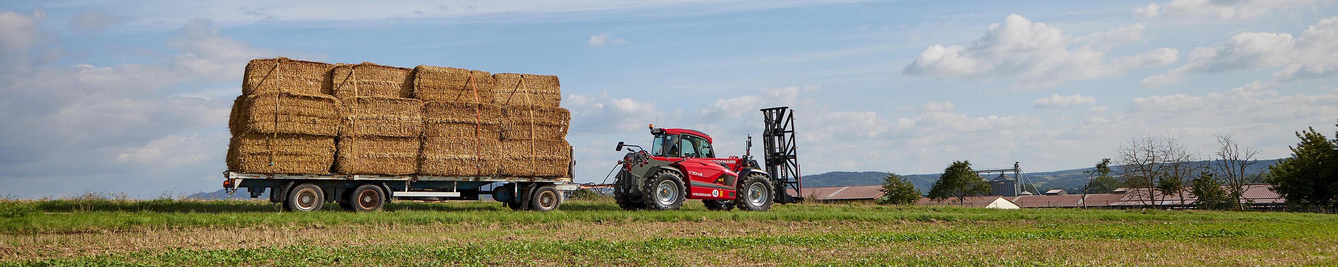 Weidemann Teleskoplader T7042 im Einsatz