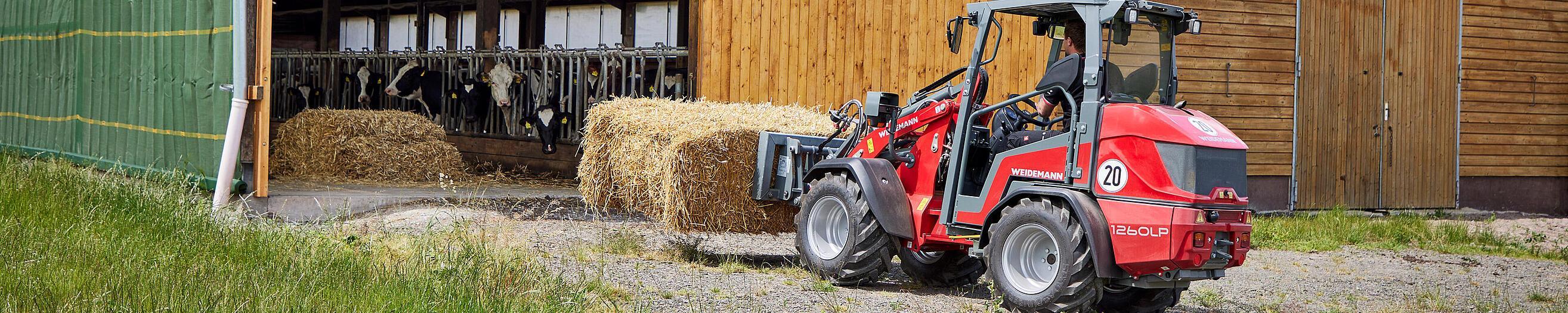 Weidemann Hoftrac 1260LP im Einsatz